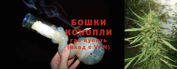 2c-b Горнозаводск