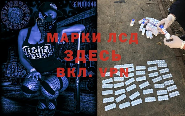 apvp Горняк