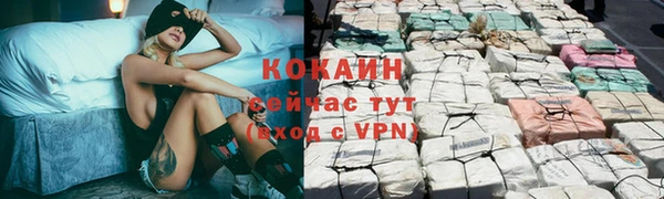 apvp Горняк