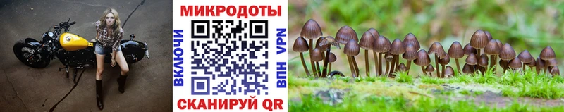 omg ССЫЛКА  где найти   Канаш  Псилоцибиновые грибы Magic Shrooms 