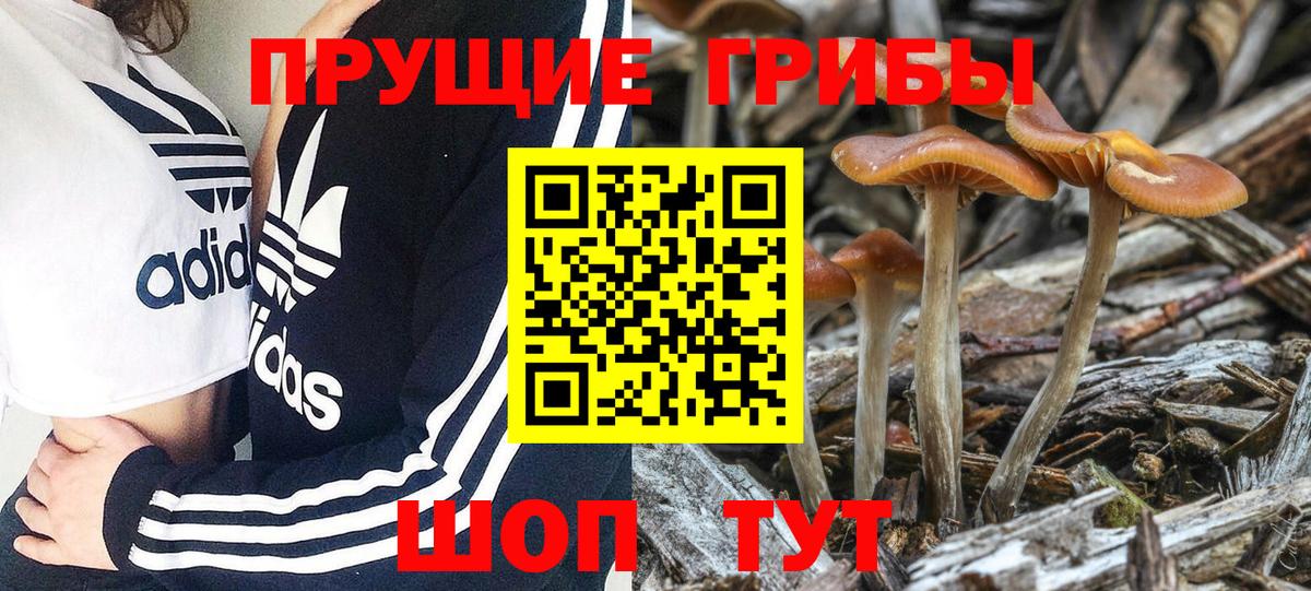 Псилоцибиновые грибы GOLDEN TEACHER  Вход с VPN  Канаш 